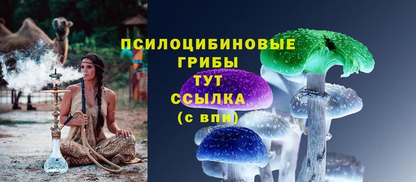 молекула духа Алзамай