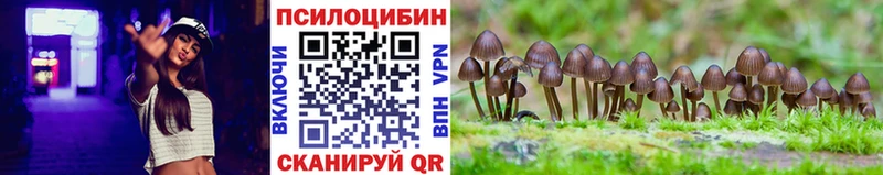 наркошоп  Мегион  Псилоцибиновые грибы Cubensis 